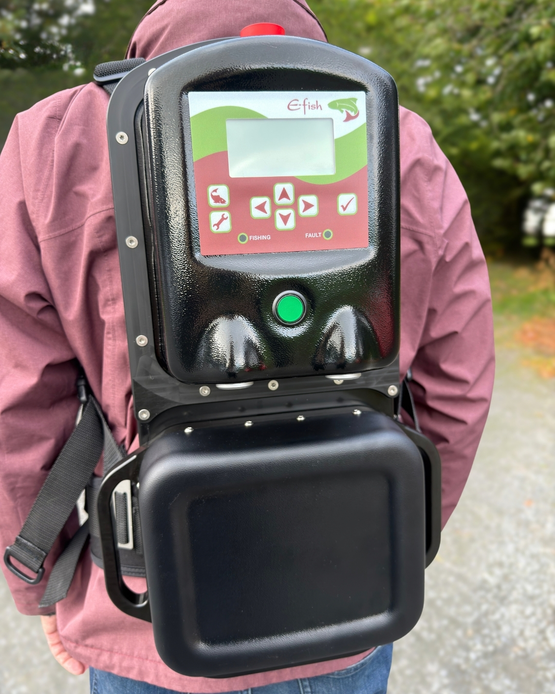 e-Fish 500